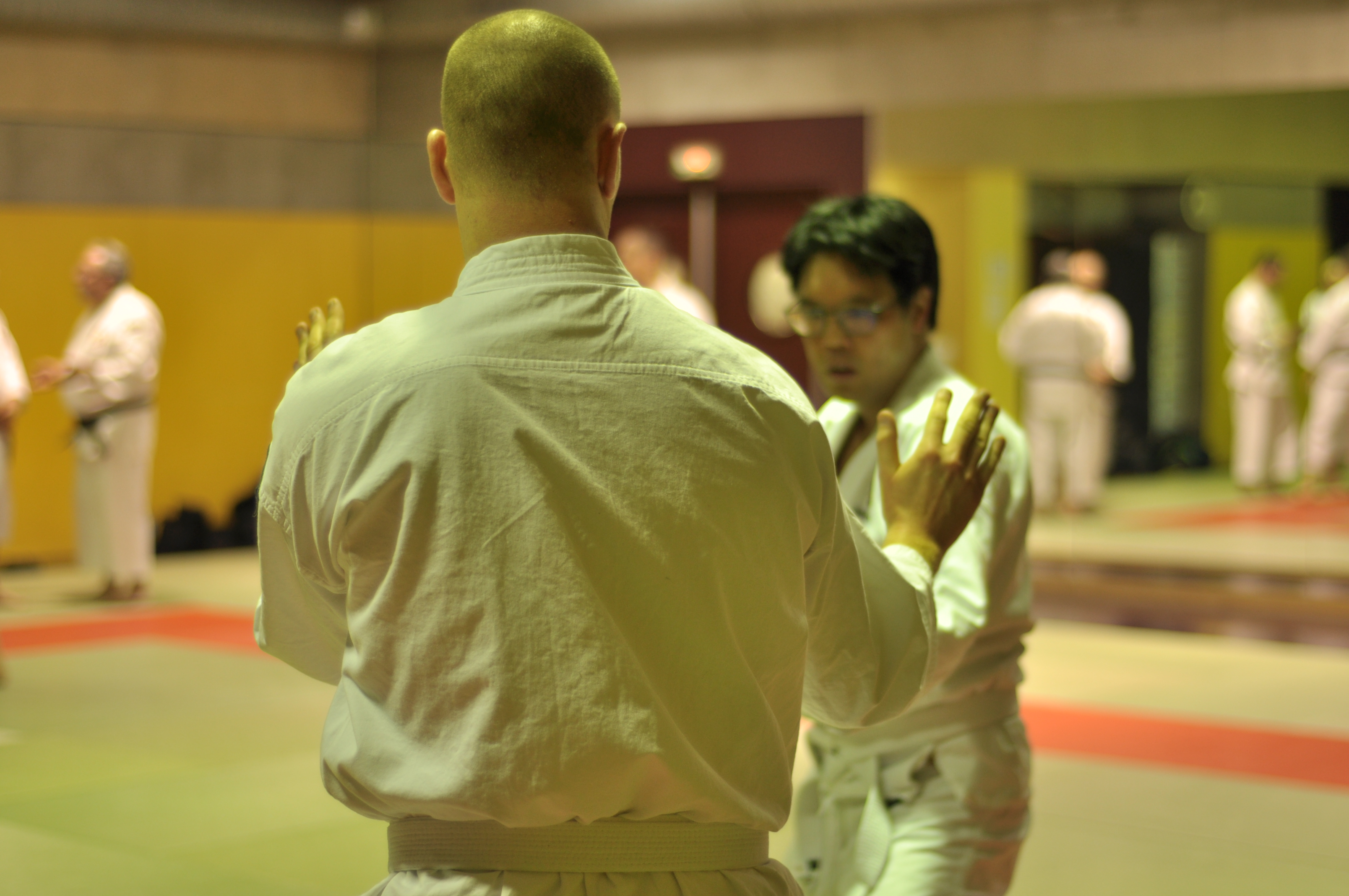 entraînement aux techniques de Shorinji Kempo