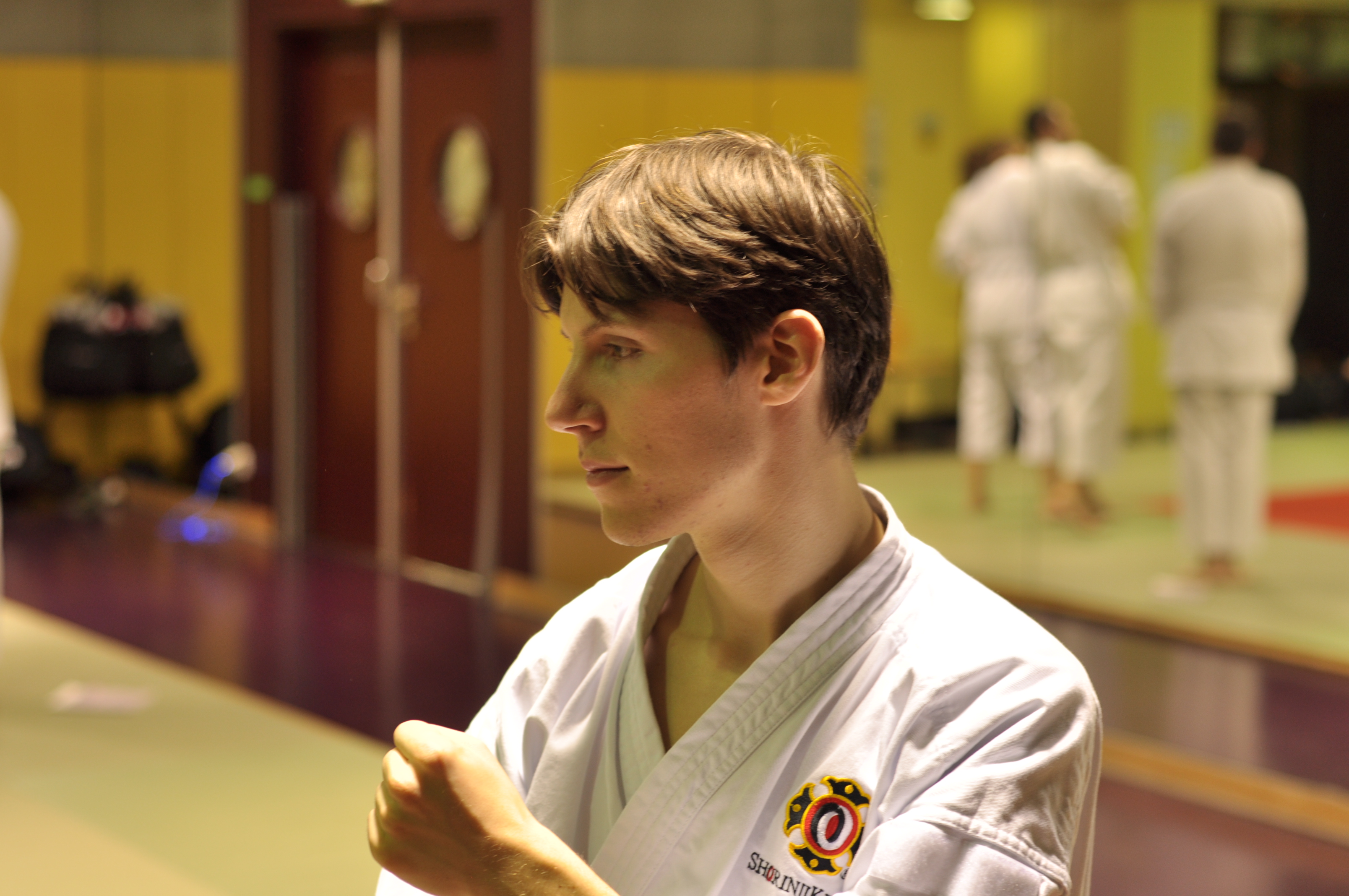 entraînement aux techniques de Shorinji Kempo
